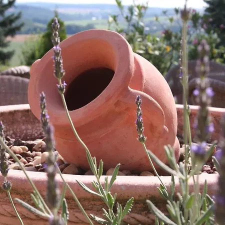 Hotel Koenig Hoehe 3*