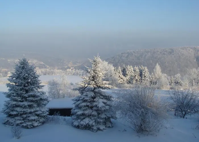 Koenig Hoehe Ξενοδοχείο 3*