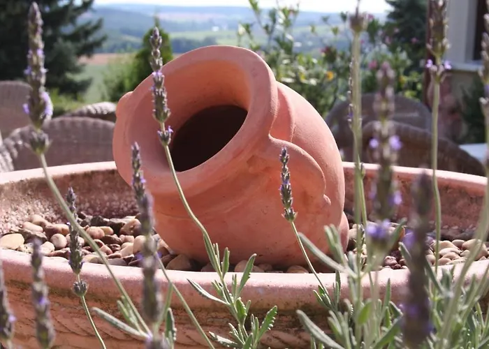 Ξενοδοχείο Koenig Hoehe 3*